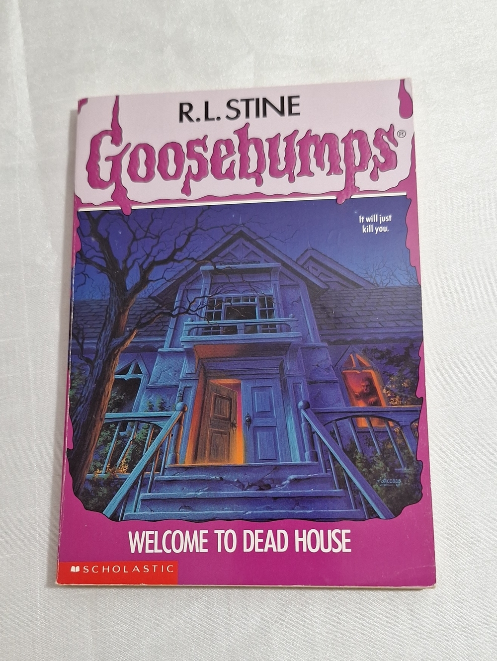 Welcome To The Dead House - Goosebumps Book